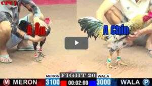 Trận 20 CPC1 15/7/2025