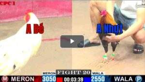 Trận 20 CPC1 28/7/2025