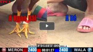 Trận 20 CPC1 7/14/2025