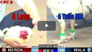 Trận 20 CPC2 4/7/2025