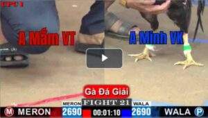 Trận 21 CPC1 10/7/2025