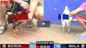 Trận 21 CPC2 25/7/2025