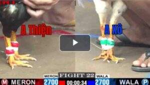 Trận 22 CPC1 29/7/2025