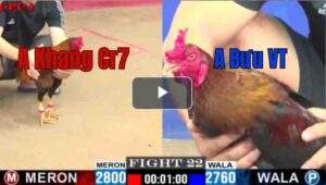 Trận 22 CPC1 5/7/2025