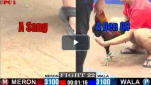 Trận 22 CPC1 8/7/2025