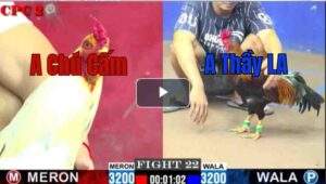 Trận 22 CPC2 13/7/2025