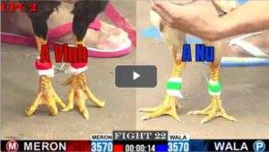 Trận 22 CPC2 25/7/2025