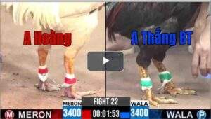 Trận 22 CPC3 3/7/2025