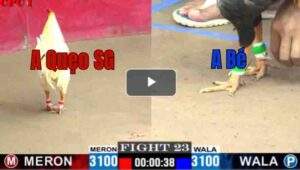 Trận 23 CPC1 7/14/2025