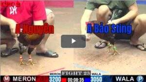 Trận 23 CPC2 16/7/2025