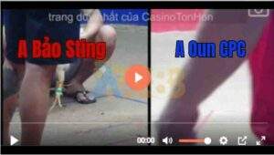 Trận 23 Tonhon 6/7/2025