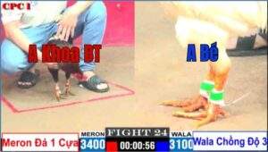 Trận 24 CPC1 28/7/2025