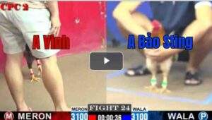 Trận 24 CPC2 27/7/2025