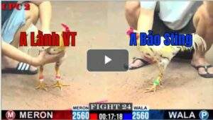 Trận 24 CPC2 9/7/2025