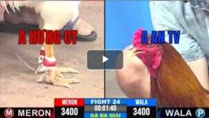 Trận 24 CPC3 6/7/2025