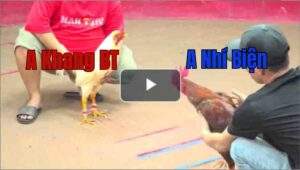 Trận 25 CPC1 26/7/2025