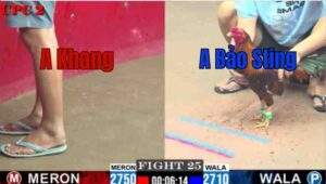 Trận 25 CPC2 2/7/2025