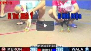 Trận 25 CPC2 4/7/2025