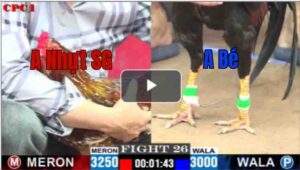 Trận 26 CPC1 19/7/2025