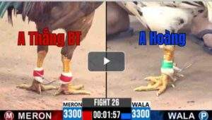 Trận 26 CPC3 3/7/2025