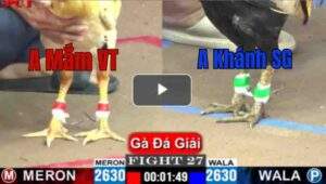 Trận 27 CPC1 10/7/2025