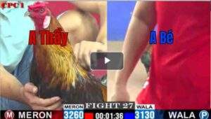 Trận 27 CPC1 7/7/2025