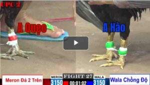 Trận 27 CPC2 11/7/2025