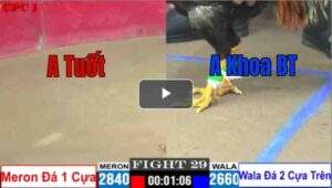 Trận 29 CPC1 7/14/2025