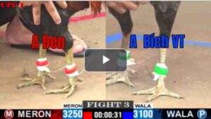 Trận 3 CPC1 17/7/2025