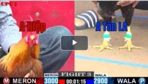 Trận 3 CPC1 8/7/2025