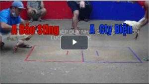 Trận 3 Tonhon 18/7/2025