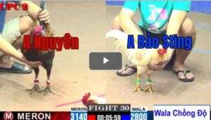 Trận 30 CPC2 27/7/2025