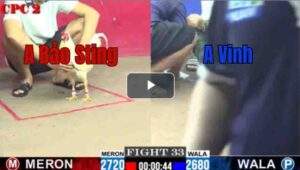 Trận 33 CPC2 2/7/2025