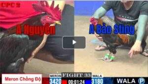 Trận 33 CPC2 2772025