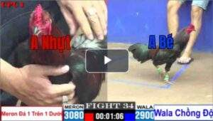 Trận 34 CPC1 31/7/2025