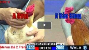 Trận 34 CPC1 7/7/2025