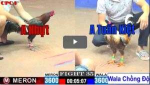 Trận 35 CPC1 28/7/2025