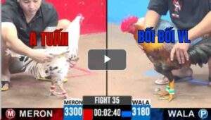 Trận 35 CPC3 8/7/2025