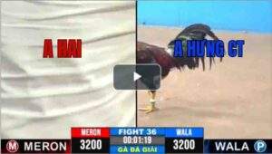 Trận 36 CPC3 6/7/2025