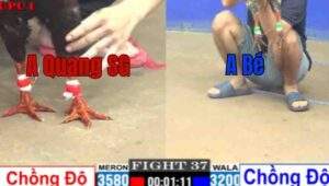 Trận 37 CPC1 19/7/2025