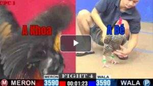 Trận 4 CPC1 31/7/2025