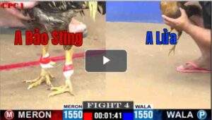 Trận 4 CPC1 7/7/2025