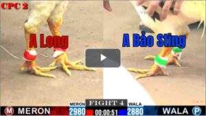 Trận 4 CPC2 1672025