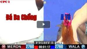 Trận 5 CPC1 15/7/2025