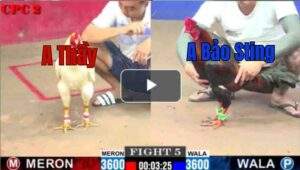 Trận 5 CPC2 9/7/2025