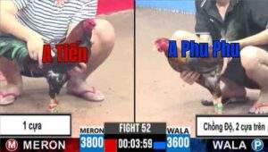 Trận 51 CPC3 12/7/2025