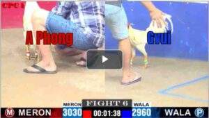 Trận 6 CPC1 3/7/2025