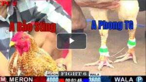 Trận 6 CPC2 9/7/2025