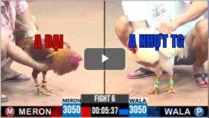 Trận 6 CPC3 26/7/2025