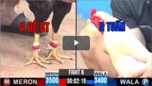 Trận 6 CPC3 8/7/2025